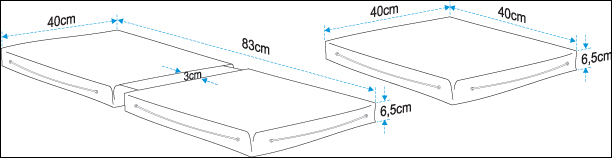 Plota maxilaria draw
